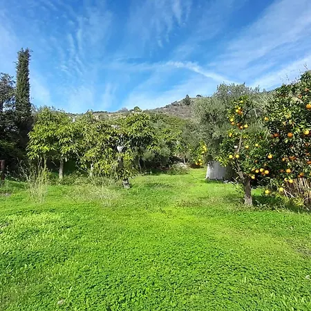 Cortijo Lagar De Luisa Borge