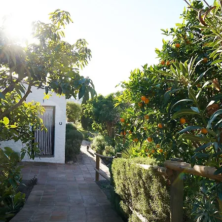 Country house Cortijo Lagar De Luisa Borge